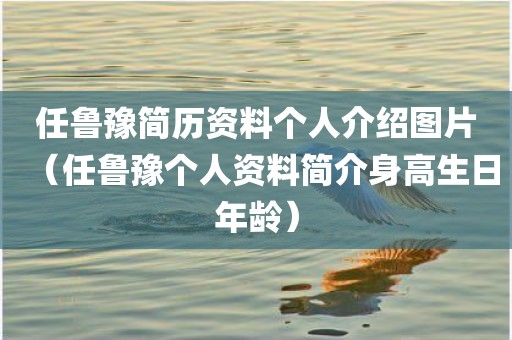 任鲁豫简历资料个人介绍图片(任鲁豫个人资料简介身高生日年龄)