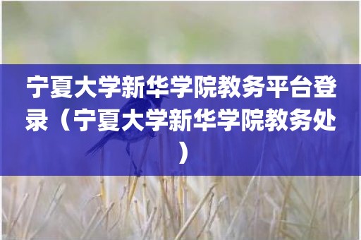宁夏大学新华学院教务平台登录（宁夏大学新华学院教务处）