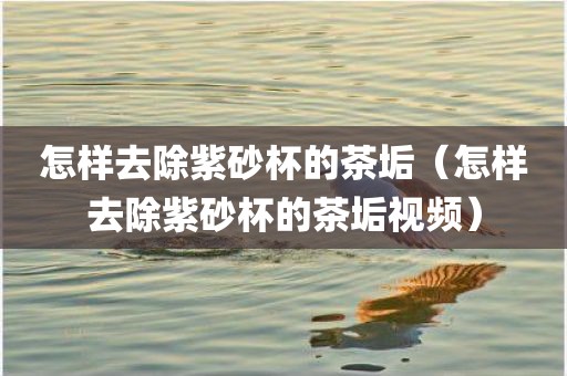 怎样去除紫砂杯的茶垢（怎样去除紫砂杯的茶垢视频）
