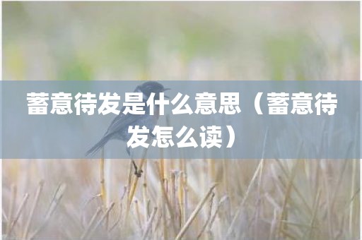 蓄意待发是什么意思（蓄意待发怎么读）