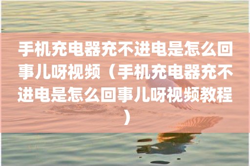 手机充电器充不进电是怎么回事儿呀视频（手机充电器充不进电是怎么回事儿呀视频教程）
