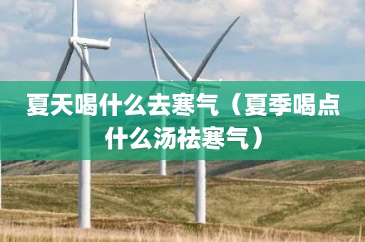 夏天喝什么去寒气（夏季喝点什么汤祛寒气）