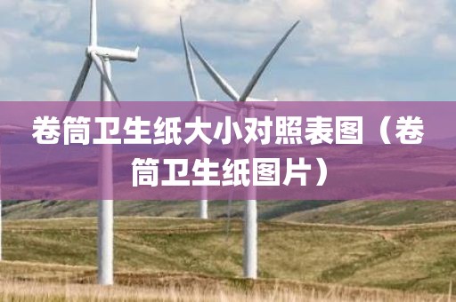 卷筒卫生纸大小对照表图（卷筒卫生纸图片）