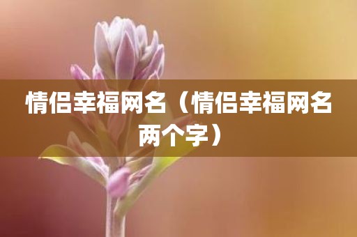 情侣幸福网名（情侣幸福网名两个字）