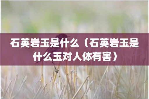 石英岩玉是什么(石英岩玉是什么玉对人体有害)