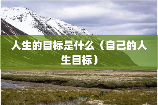 人生的目标是什么（自己的人生目标）