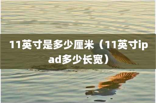 11英寸是多少厘米（11英寸ipad多少长宽）