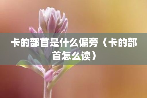 卡的部首是什么偏旁（卡的部首怎么读）