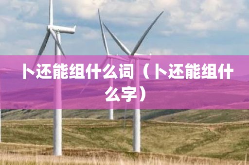 卜还能组什么词（卜还能组什么字）