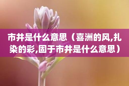 市井是什么意思（喜洲的风,扎染的彩,固于市井是什么意思）