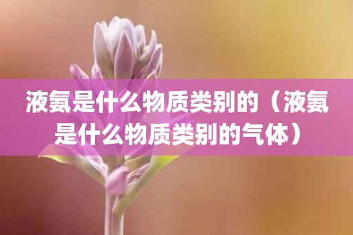 液氨是什么物质类别的（液氨是什么物质类别的气体）