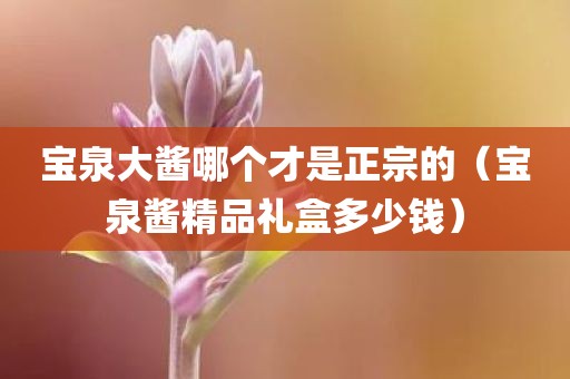 宝泉大酱哪个才是正宗的(宝泉酱精品礼盒多少钱) 宝泉大酱哪个才是正宗的(宝泉酱精品礼盒多少钱)