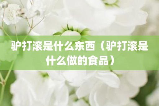 驴打滚是什么东西（驴打滚是什么做的食品）