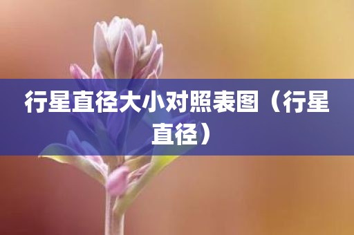 行星直径大小对照表图（行星 直径）