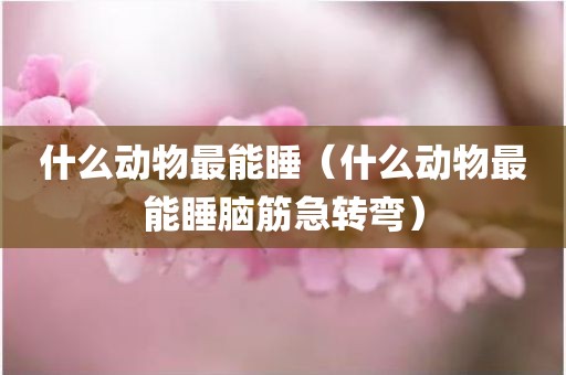 什么动物最能睡（什么动物最能睡脑筋急转弯）