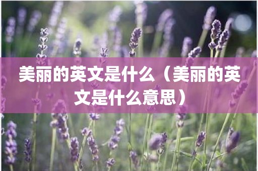 美丽的英文是什么（美丽的英文是什么意思）