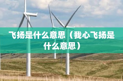 飞扬是什么意思（我心飞扬是什么意思）