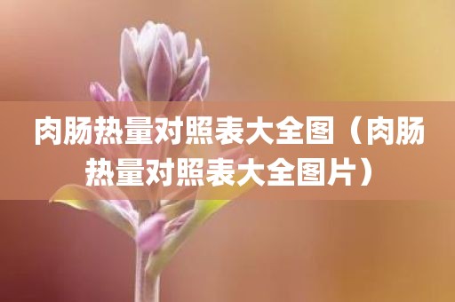 肉肠热量对照表大全图（肉肠热量对照表大全图片）