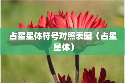 占星星体符号对照表图（占星 星体）