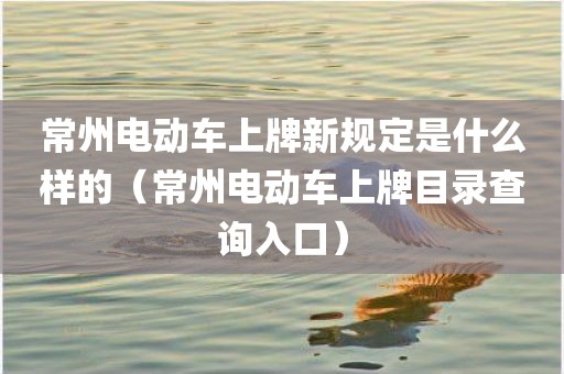 常州电动车上牌新规定是什么样的（常州电动车上牌目录查询入口）