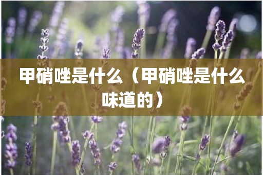甲硝唑是什么（甲硝唑是什么味道的）