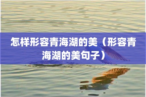 怎样形容青海湖的美（形容青海湖的美句子）