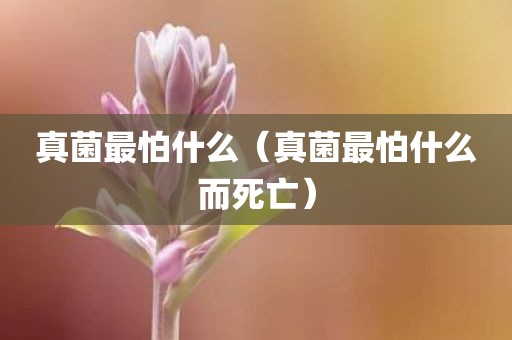真菌最怕什么（真菌最怕什么而死亡）