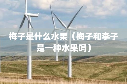 梅子是什么水果（梅子和李子是一种水果吗）