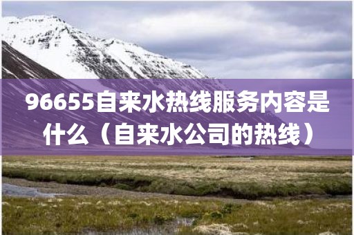 96655自来水热线服务内容是什么（自来水公司的热线）