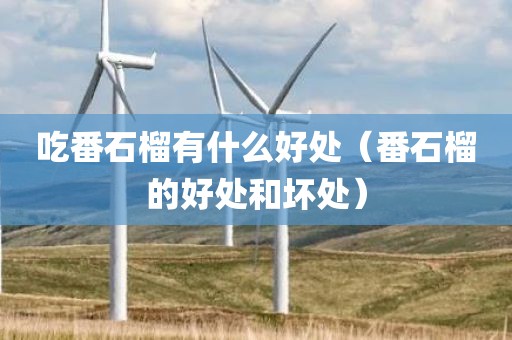 吃番石榴有什么好处（番石榴的好处和坏处）