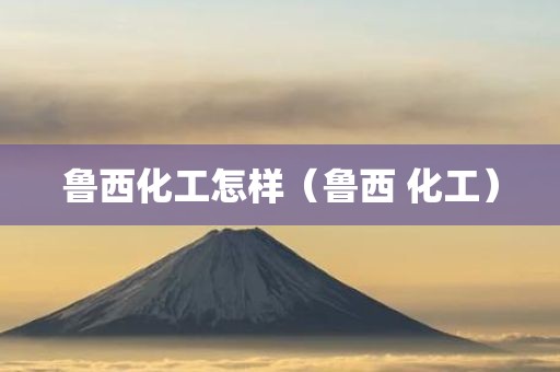 鲁西化工怎样（鲁西 化工）
