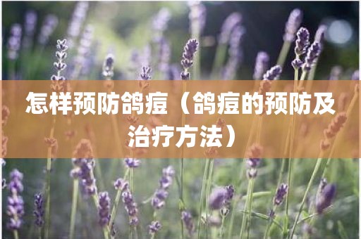 怎样预防鸽痘（鸽痘的预防及治疗方法）