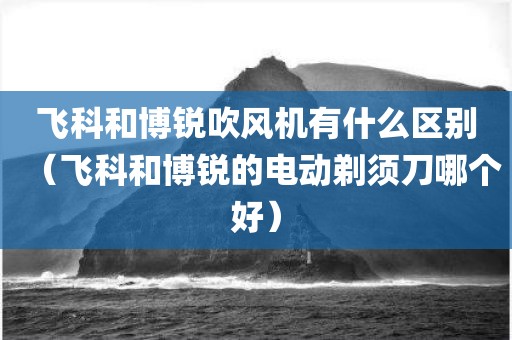 飞科和博锐吹风机有什么区别（飞科和博锐的电动剃须刀哪个好）