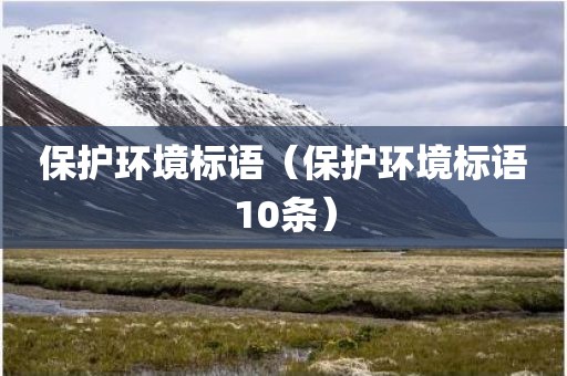 保护环境标语（保护环境标语10条）