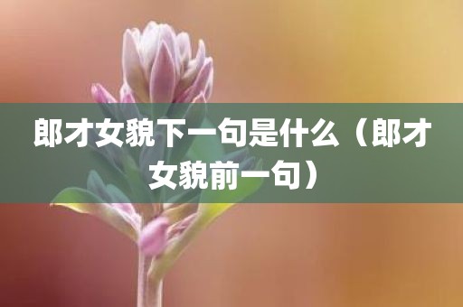 郎才女貌下一句是什么（郎才女貌前一句）