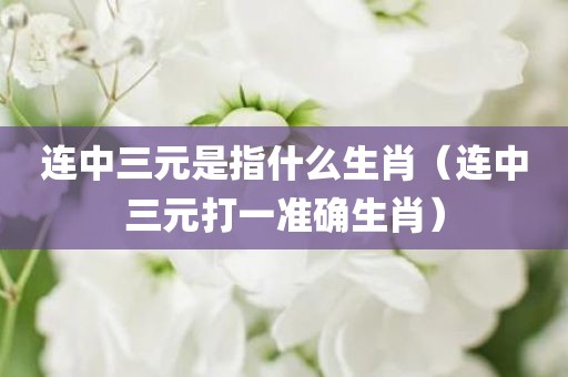 连中三元是指什么生肖（连中三元打一准确生肖）