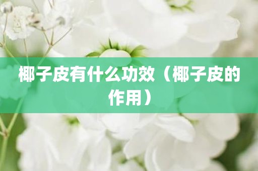 椰子皮有什么功效（椰子皮的作用）