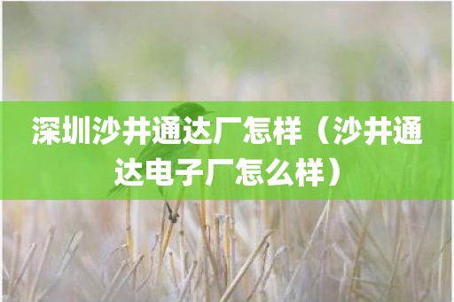 深圳沙井通达厂怎样（沙井通达电子厂怎么样）