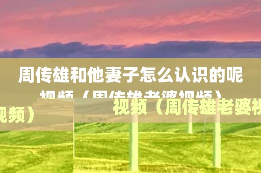 周传雄和他妻子怎么认识的呢视频（周传雄老婆视频）