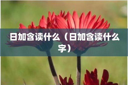 日加含读什么（日加含读什么字）