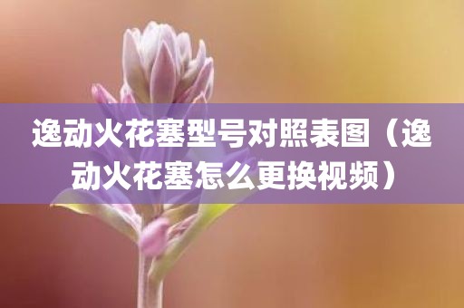 逸动火花塞型号对照表图（逸动火花塞怎么更换视频）
