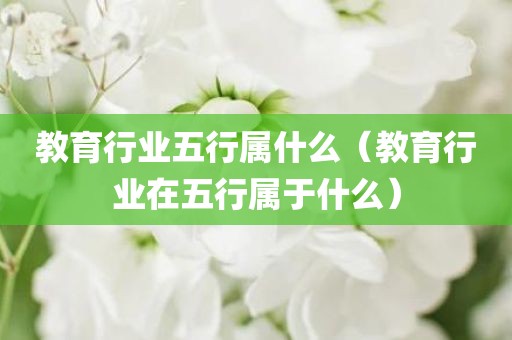 教育行业五行属什么（教育行业在五行属于什么）