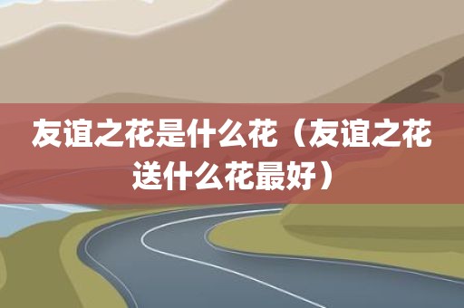 友谊之花是什么花（友谊之花送什么花最好）