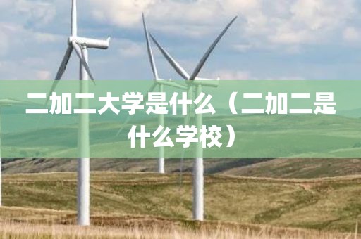 二加二大学是什么（二加二是什么学校）
