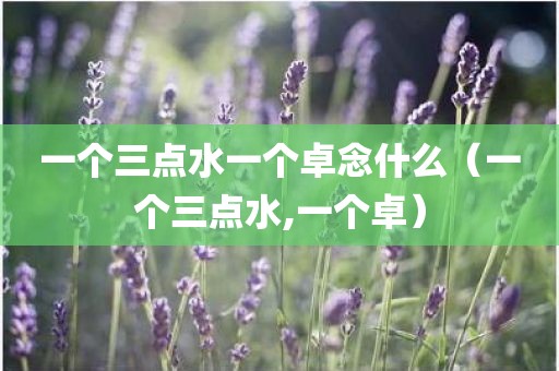 一个三点水一个卓念什么（一个三点水,一个卓）