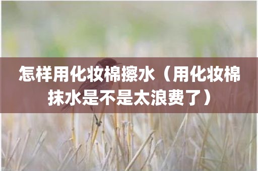 怎样用化妆棉擦水（用化妆棉抹水是不是太浪费了）