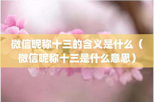 微信昵称十三的含义是什么(微信昵称十三是什么意思) - 图小雯知识