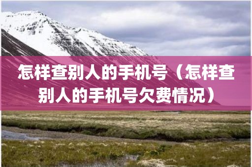 怎样查别人的手机号（怎样查别人的手机号欠费情况）