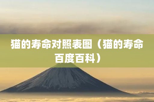 猫的寿命对照表图（猫的寿命百度百科）