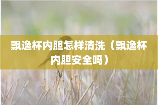 飘逸杯内胆怎样清洗（飘逸杯内胆安全吗）